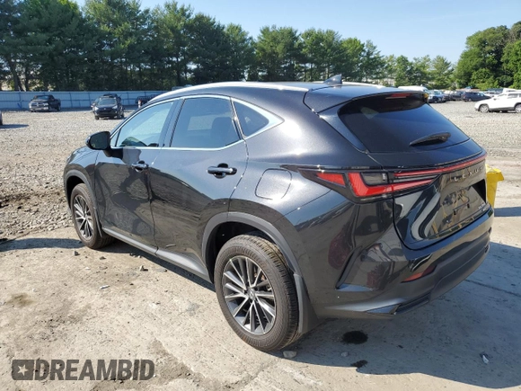 2022 Lexus NX with VIN 2T2AGCEZ9NC013069, listed as a Copart auction lot 60156404 with 16,915 mi miles and Salvage Title. Bid and sale history available at carsss.com. Image 2.