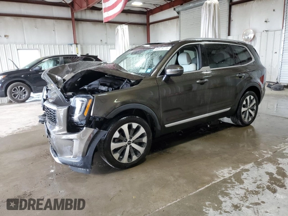 2022 Kia Telluride S with VIN 5XYP6DHC3NG248392, listed as a Copart auction lot 60979775 with Not provided miles and Salvage title. Bid and sale history available at DreamBid. Image 1.