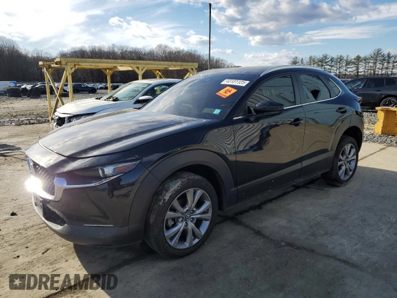 2023 Mazda CX-30 S Select with VIN 3MVDMBBMXPM568456, listed as a Copart auction lot 43131125 with Not Provided miles and Salvage Title. Bid and sale history available at DreamBid. Image 1.