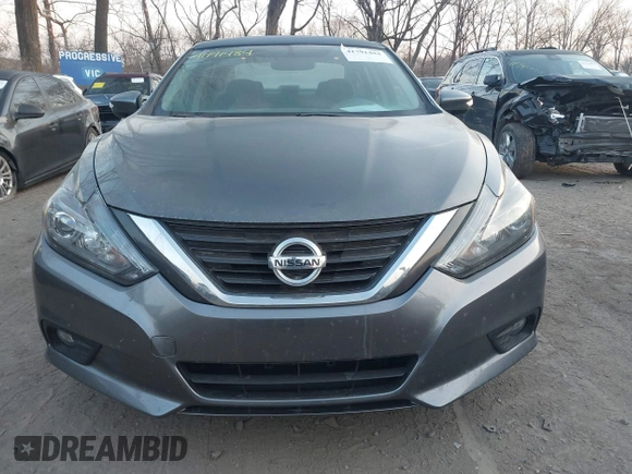 2017 Nissan Altima SL with VIN 1N4BL3AP4HC180533, listed as a IAAI auction lot 41791484 with 120,619 mi miles and . Bid and sale history available at DreamBid. Image 13.