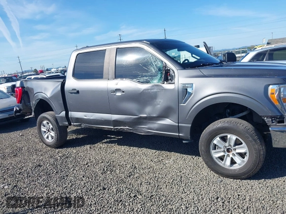 2021 Ford F-150 XL with VIN 1FTFW1E86MKD57397, listed as a IAAI auction lot 42174774 with 59,227 mi miles and . Bid and sale history available at DreamBid. Image 6.