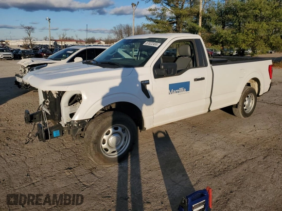 2023 Ford F-150 XL with VIN 1FTMF1C59PKE40505, listed as a Copart auction lot 87022404 with Not Provided miles and Salvage Title. Bid and sale history available at carsss.com. Image 1.