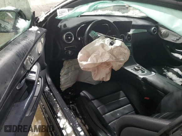 2023 Mercedes-Benz C 300 with VIN W1KWJ8EBXPG117463, listed as a Copart auction lot 88074365 with Not Provided miles and Salvage Title. Bid and sale history available at DreamBid. Image 8.