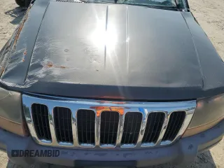 1999 Jeep Grand Cherokee Laredo с VIN 1J4G258S9XC758711, выставлен на аукционе Copart как лот 58420835 с пробегом Не указан миль и Списание • Salvage title. История ставок и продаж доступна на DreamBid. Изображение 11.
