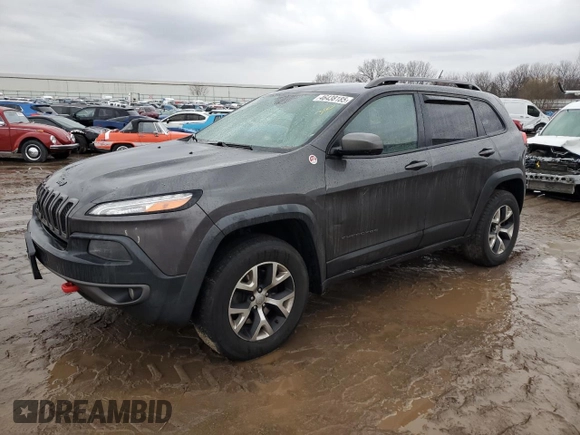 2014 Jeep Cherokee Trailhawk with VIN 1C4PJMBB6EW310613, listed as a Copart auction lot 46438185 with 122,113 mi miles and Salvage Title. Bid and sale history available at carsss.com. Image 1.