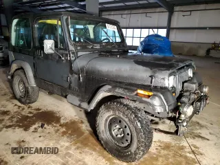 1994 Jeep Wrangler S with VIN 1J4FY19P9RP465044, listed as a Copart auction lot 84121254 with 174,801 mi miles and Clean Title. Bid and sale history available at carsss.com. Image 4.