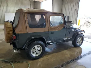 1995 Jeep Wrangler with VIN 1J4FY29S3SP232227, listed as a Copart auction lot 78394314 with 142,117 mi miles and Salvage Title. Bid and sale history available at carsss.com. Image 3.