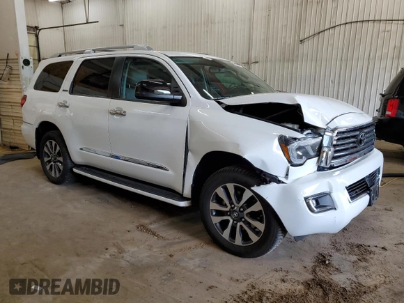 2019 Toyota Sequoia Limited with VIN 5TDJY5G14KS169284, listed as a Copart auction lot 59687854 with 81,162 mi miles and Salvage Title. Bid and sale history available at carsss.com. Image 4.