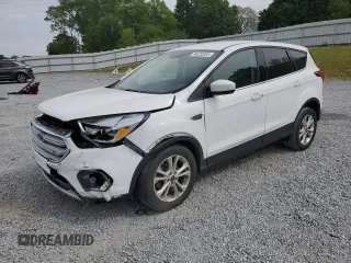 2019 Ford Escape SE z VIN 1FMCU0GDXKUB94201, wystawiony jako Copart lot #54222885 z przebiegiem 100 166 mil mil oraz Szkoda całkowita • Salvage title. Historia ofert i sprzedaży dostępna na DreamBid. Obrazek 1.