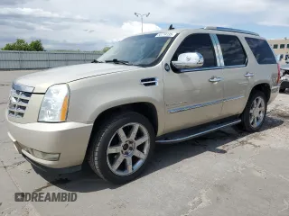 2009 Cadillac Escalade z VIN 1GYFK23229R284067, wystawiony jako Copart lot #55774135 z przebiegiem 160 978 mil mil oraz Szkoda całkowita • Salvage title. Historia ofert i sprzedaży dostępna na DreamBid. Obrazek 1.