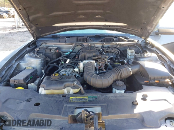 2010 Ford Mustang V6 с VIN 1ZVBP8ENXA5159388, выставлен на аукционе IAAI как лот 41433762 с пробегом 59 546 миль миль и . История ставок и продаж доступна на DreamBid. Изображение 10.