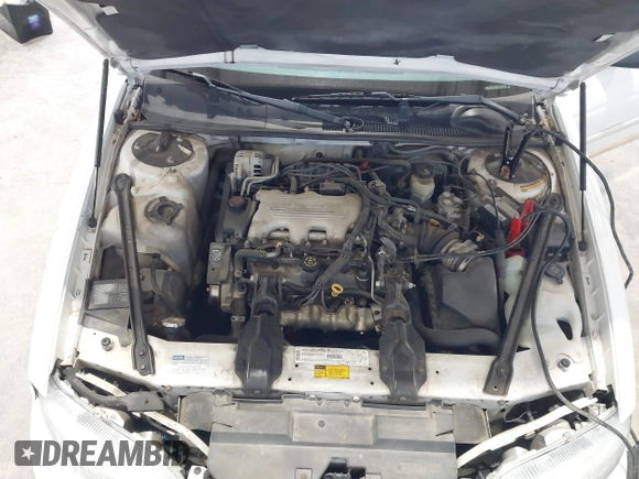 1998 Chevrolet Lumina with VIN 2G1WL52M0W1136830, listed as a IAAI auction lot 41860190 with 110,393 mi miles and . Bid and sale history available at DreamBid. Image 10.
