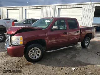 2009 Chevrolet Silverado 1500 LS with VIN 3GCEC13C39G208505, listed as a Copart auction lot 44381785 with 66,038 mi miles and Salvage Title. Bid and sale history available at carsss.com. Image 1.