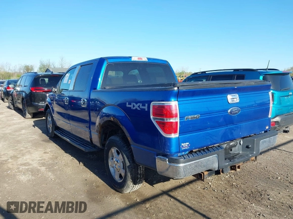 2009 Ford F-150 XL with VIN 1FTPW14V59KC52255, listed as a IAAI auction lot 42123114 with 190,641 mi miles and . Bid and sale history available at DreamBid. Image 3.