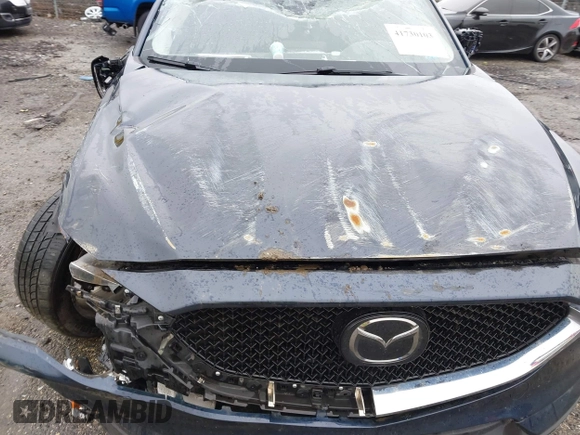 2019 Mazda CX-5 Grand Touring with VIN JM3KFBDM6K0592496, listed as a IAAI auction lot 41730103 with Not Provided miles and . Bid and sale history available at carsss.com. Image 6.