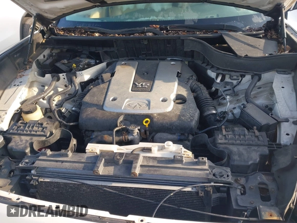 2011 Infiniti FX with VIN JN8AS1MW5BM731171, listed as a IAAI auction lot 41981096 with 184,536 mi miles and . Bid and sale history available at DreamBid. Image 10.
