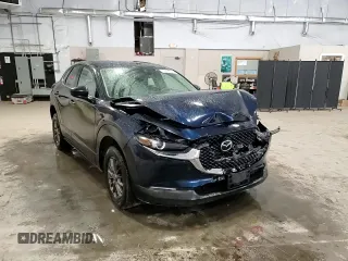2020 Mazda CX-30 with VIN 3MVDMBBL0LM114783, listed as a Copart auction lot 50521185 with 48,769 mi miles and Salvage Title. Bid and sale history available at DreamBid. Image 11.