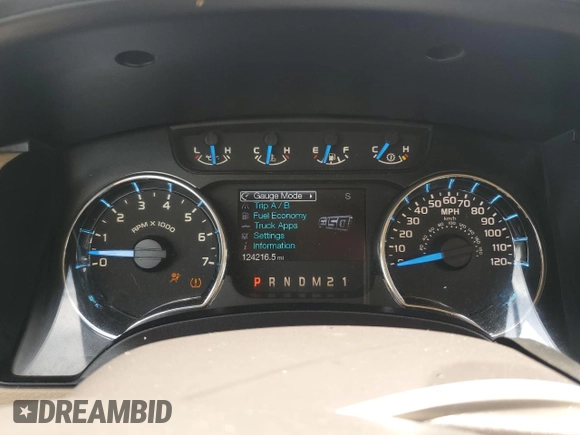2013 Ford F-150 XL with VIN 1FTFW1EF1DFB70494, listed as a Copart auction lot 61549945 with 124,216 mi miles and Salvage title. Bid and sale history available at DreamBid. Image 9.