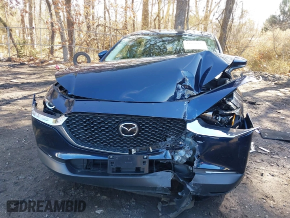 2024 Mazda CX-30 S z VIN 3MVDMBAM8RM634233, wystawiony jako IAAI lot #41820443 z przebiegiem 8 540 mil mil oraz . Historia ofert i sprzedaży dostępna na DreamBid. Obrazek 12.