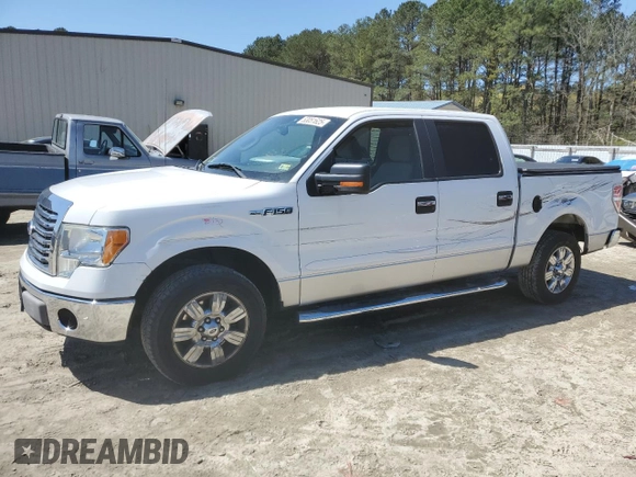 2010 Ford F-150 XL with VIN 1FTEW1C87AFD70646, listed as a Copart auction lot 53051625 with 162,396 mi miles and Salvage Title. Bid and sale history available at carsss.com. Image 1.