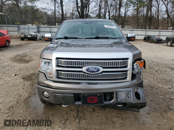 2010 Ford F-150 XL with VIN 1FTFW1EV8AFA22412, listed as a Copart auction lot 42259025 with 249,847 mi miles and Salvage title. Bid and sale history available at DreamBid. Image 5.