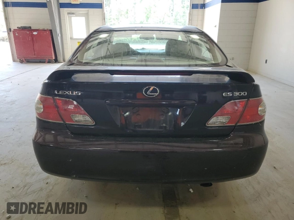 2003 Lexus ES 300 with VIN JTHBF30G030105503, listed as a Copart auction lot 53875065 with 332,920 mi miles and Salvage Title. Bid and sale history available at DreamBid. Image 6.