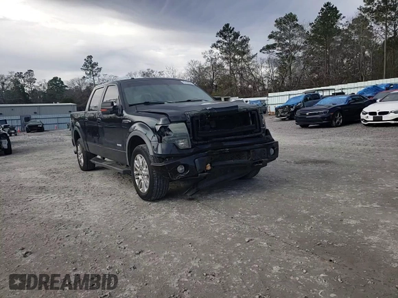 2013 Ford F-150 XL with VIN 1FTFW1ET6DKF08260, listed as a Copart auction lot 42494635 with 252,331 mi miles and Salvage Title. Bid and sale history available at carsss.com. Image 10.