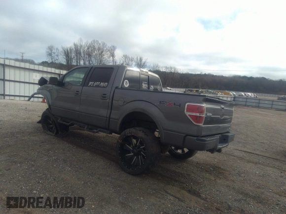 2010 Ford F-150 XL with VIN 1FTFW1EV3AFD01718, listed as a IAAI auction lot 41645220 with 248,009 mi miles and . Bid and sale history available at carsss.com. Image 3.