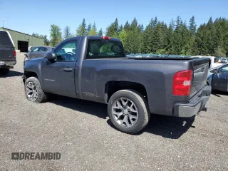 2010 Chevrolet Silverado 1500 Work Truck with VIN 1GCPCPEX1AZ202279, listed as a Copart auction lot 55144475 with 74,977 mi miles and Salvage Title. Bid and sale history available at DreamBid. Image 2.