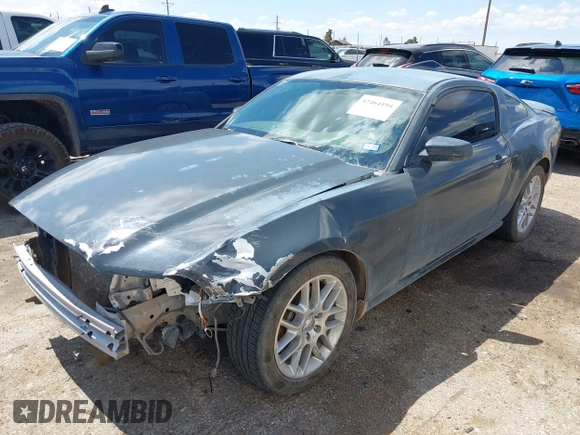 2013 Ford Mustang V6 with VIN 1ZVBP8AM0D5207837, listed as a IAAI auction lot 42464194 with 171,916 mi miles and . Bid and sale history available at DreamBid. Image 2.