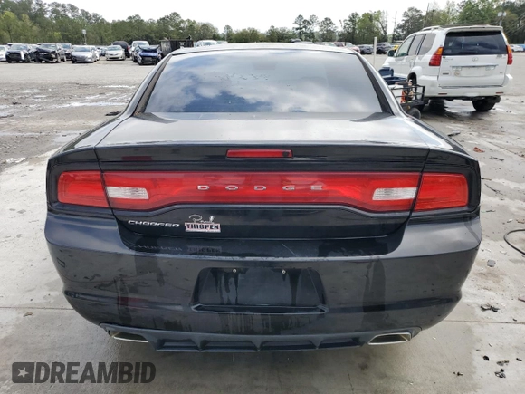 2014 Dodge Charger SE with VIN 2C3CDXBG6EH174215, listed as a Copart auction lot 51108985 with 163,133 mi miles and Salvage Title. Bid and sale history available at carsss.com. Image 6.