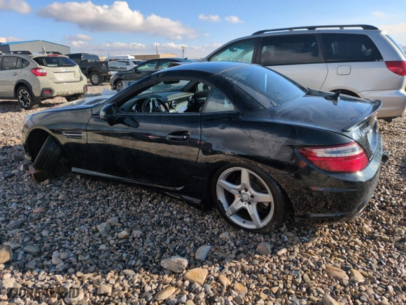 2014 Mercedes-Benz SLK-Class SLK 250 with VIN WDDPK4HA2EF080442, listed as a Copart auction lot 45159975 with 46,978 mi miles and Salvage Title. Bid and sale history available at carsss.com. Image 2.
