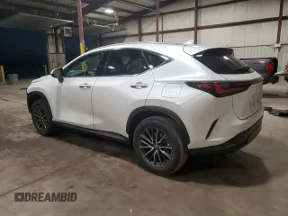 2024 Lexus NX with VIN 2T2AGCEZXRC034292, listed as a Copart auction lot 81203804 with 15,567 mi miles and Salvage Title. Bid and sale history available at carsss.com. Image 2.