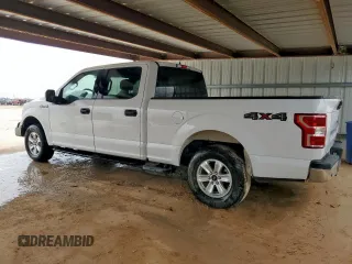 2019 Ford F-150 XL with VIN 1FTFW1E54KKE16420, listed as a Copart auction lot 62522515 with 141,177 mi miles and Clean title. Bid and sale history available at DreamBid. Image 2.