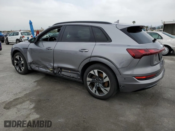 2022 Audi e-tron Premium with VIN WA1AABGE1NB022142, listed as a Copart auction lot 55533575 with 46,599 mi miles and Salvage Title. Bid and sale history available at DreamBid. Image 2.