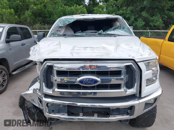 2016 Ford F-150 XLT with VIN 1FTEW1EF9GFA23176, listed as a IAAI auction lot 42142336 with 178,446 mi miles and . Bid and sale history available at carsss.com. Image 12.