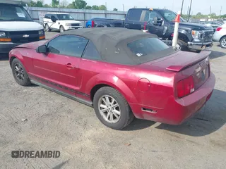 2006 Ford Mustang Standard with VIN 1ZVFT84N365190097, listed as a IAAI auction lot 42015242 with Not Provided miles and . Bid and sale history available at carsss.com. Image 3.