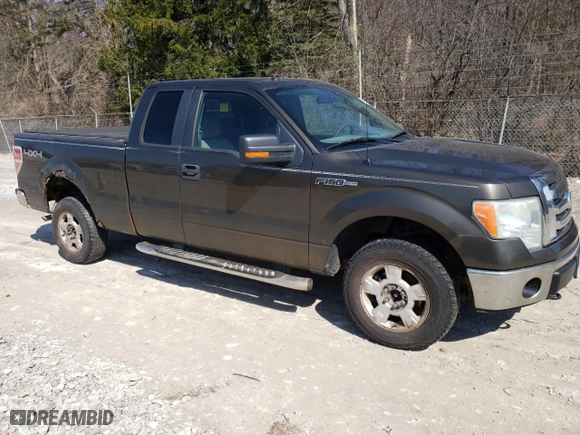 2009 Ford F-150 STX with VIN 1FTRX148X9FA76800, listed as a Copart auction lot 49102645 with 110,010 mi miles and Clean Title. Bid and sale history available at carsss.com. Image 4.