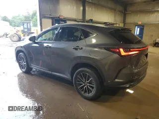 2024 Lexus NX 350 Premium with VIN 2T2GGCEZ7RC051044, listed as a Copart auction lot 59289795 with 9,769 mi miles and Salvage title. Bid and sale history available at DreamBid. Image 2.