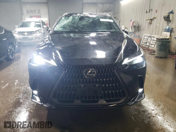 2022 Lexus NX with VIN 2T2ADCAZ4NC002205, listed as a Copart auction lot 44891975 with 19,509 mi miles and Salvage Title. Bid and sale history available at carsss.com. Image 5.