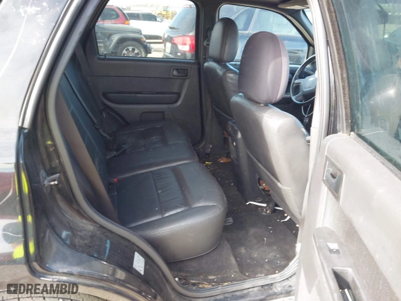 2010 Ford Escape XLT with VIN 1FMCU0DG5AKD45566, listed as a IAAI auction lot 41232118 with 166,816 mi miles. Bid and sale history available at carsss.com. Image 8.