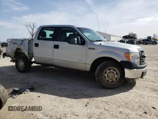 2013 Ford F-150 XL with VIN 1FTFW1ET2DFA52069, listed as a Copart auction lot 49722295 with 0 mi miles and Salvage Title. Bid and sale history available at carsss.com. Image 4.