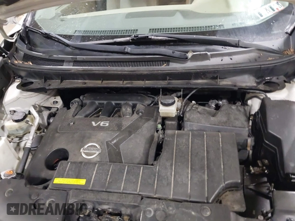 2010 Nissan Murano SL with VIN JN8AZ1MW0AW100360, listed as a IAAI auction lot 41771416 with 168,042 mi miles. Bid and sale history available at carsss.com. Image 10.