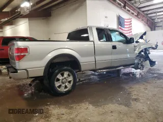 2010 Ford F-150 XL with VIN 1FTFX1EVXAFB17244, listed as a Copart auction lot 50025515 with 0 mi miles and Clean Title. Bid and sale history available at carsss.com. Image 3.