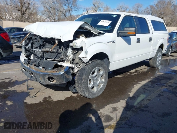 2014 Ford F-150 XL with VIN 1FTFW1EF5EFA52790, listed as a IAAI auction lot 41838078 with 298,335 mi miles. Bid and sale history available at carsss.com. Image 17.