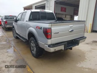 2013 Ford F-150 XL with VIN 1FTFW1ET6DFA79047, listed as a IAAI auction lot 42047487 with 192,395 mi miles. Bid and sale history available at carsss.com. Image 3.