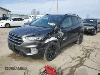 2019 Ford Escape SE with VIN 1FMCU0GDXKUA46873, listed as a Copart auction lot 44201505 with 123,631 mi miles and Salvage Title. Bid and sale history available at carsss.com. Image 1.
