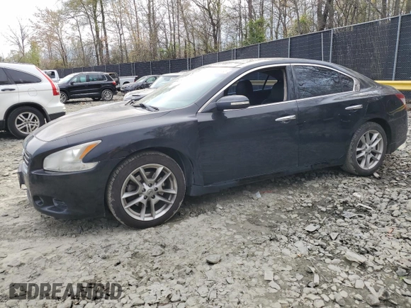2011 Nissan Maxima 3.5 SV with VIN 1N4AA5APXBC802265, listed as a Copart auction lot 51761185 with 126,536 mi miles and Salvage Title. Bid and sale history available at carsss.com. Image 1.