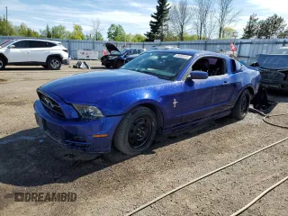 2013 Ford Mustang V6 z VIN 1ZVBP8AM4D5211972, wystawiony jako Copart lot #55669385 z przebiegiem Nie podano mil oraz Szkoda całkowita • Salvage title. Historia ofert i sprzedaży dostępna na DreamBid. Obrazek 1.