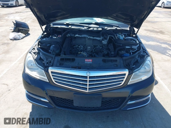 2014 Mercedes-Benz C-Class C 300 Sport with VIN WDDGF8ABXEG227681, listed as a IAAI auction lot 41786079 with 141,951 mi miles. Bid and sale history available at carsss.com. Image 10.